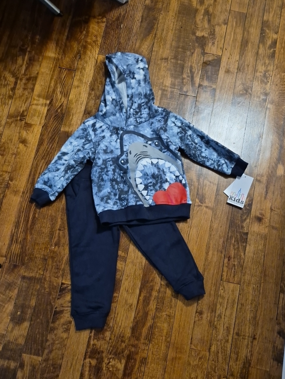 2T Toddler Boy Shark Graphic Hoodie & Jogger Set